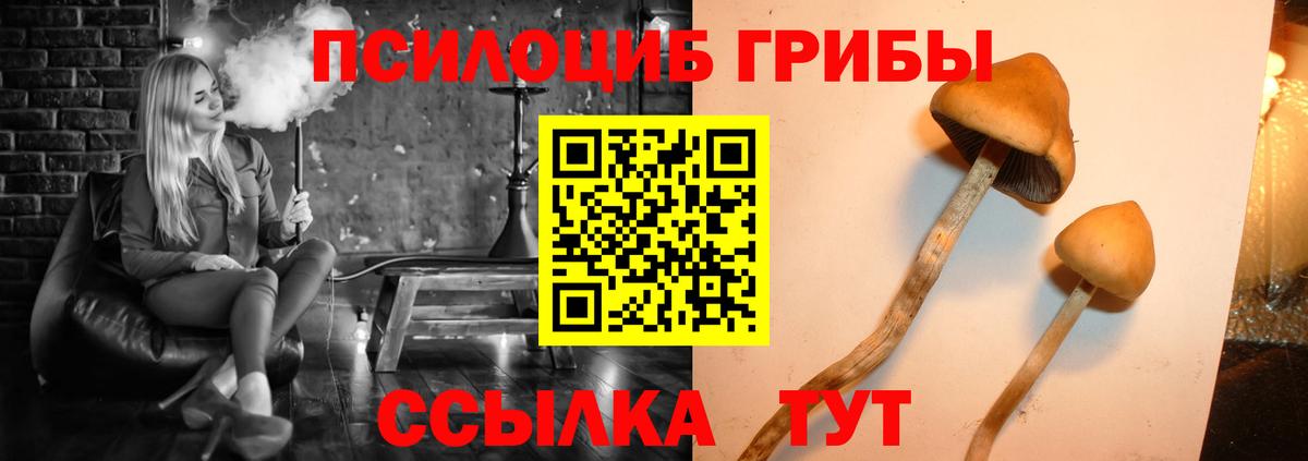 Псилоцибиновые грибы мухоморы Южно-Сахалинск